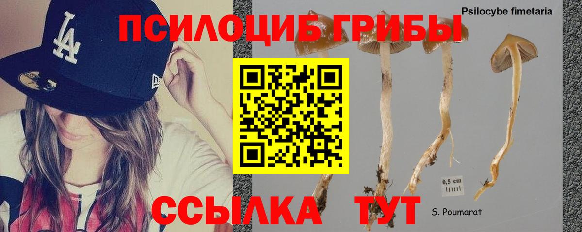 Псилоцибиновые грибы Cubensis Топки